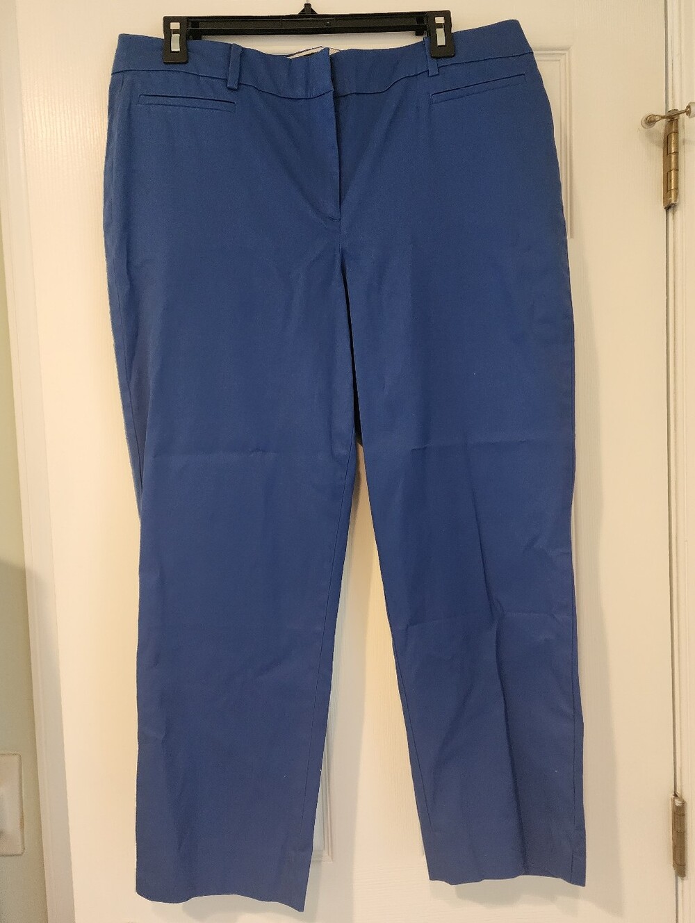 Talbots Cobalt Blue Crop Pants